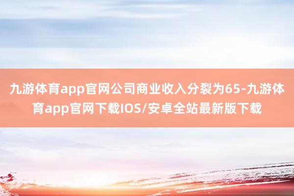 九游体育app官网公司商业收入分裂为65-九游体育app官网下载IOS/安卓全站最新版下载