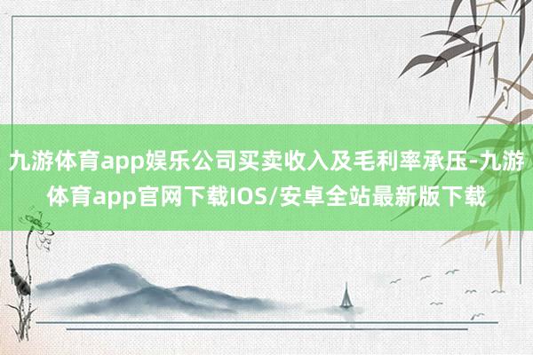 九游体育app娱乐公司买卖收入及毛利率承压-九游体育app官网下载IOS/安卓全站最新版下载
