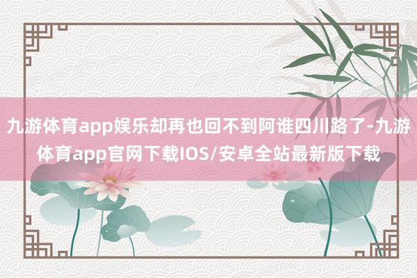 九游体育app娱乐却再也回不到阿谁四川路了-九游体育app官网下载IOS/安卓全站最新版下载