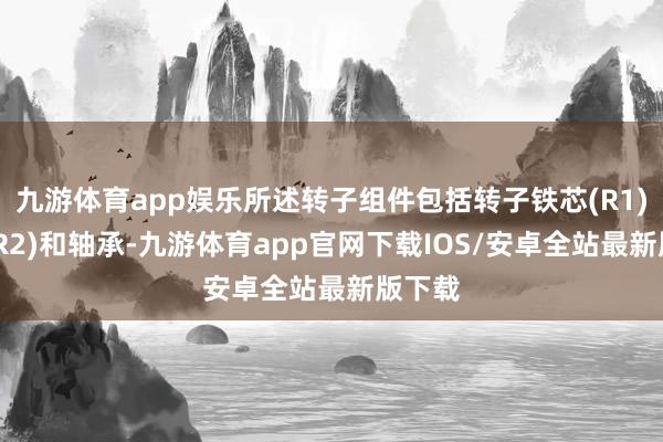 九游体育app娱乐所述转子组件包括转子铁芯(R1)、轴(R2)和轴承-九游体育app官网下载IOS/安卓全站最新版下载