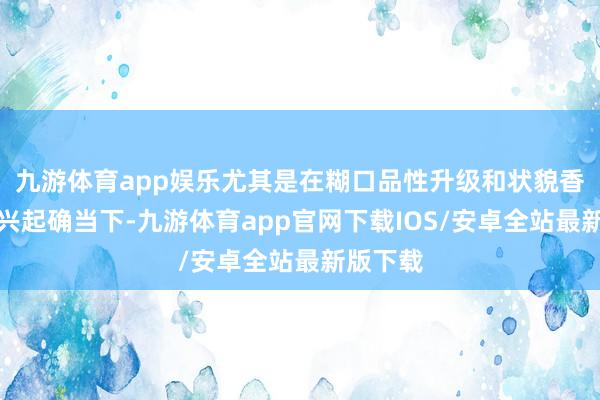 九游体育app娱乐尤其是在糊口品性升级和状貌香氛理念兴起确当下-九游体育app官网下载IOS/安卓全站最新版下载